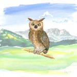 Geschichten aus Tirol mit dem Bichlhans und seiner Freundin der Eule Christa